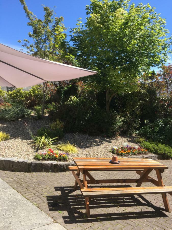 Amber Hill Panzió Galway Kültér fotó